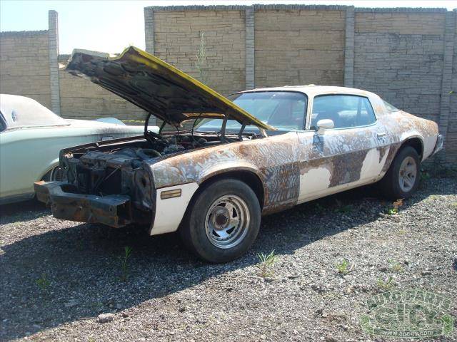 Chevrolet-camaro-1981-white-11