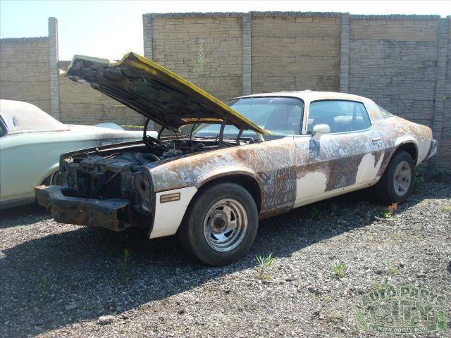 Chevrolet-camaro-1981-white-13