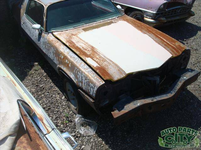 Chevrolet-camaro-1981-white-16