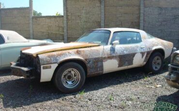 Chevrolet-camaro-1981-white