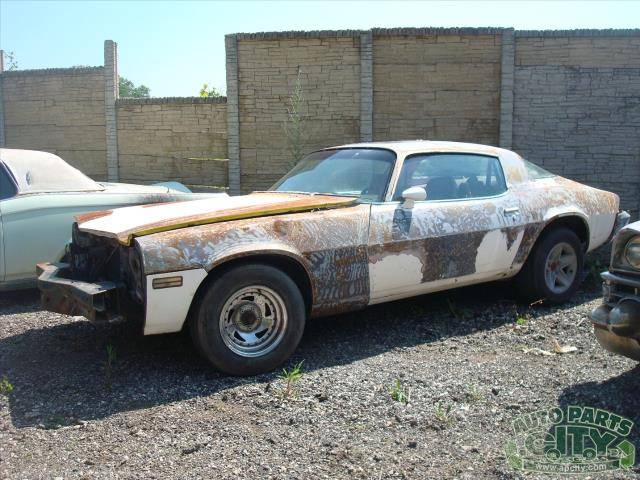 Chevrolet-camaro-1981-white