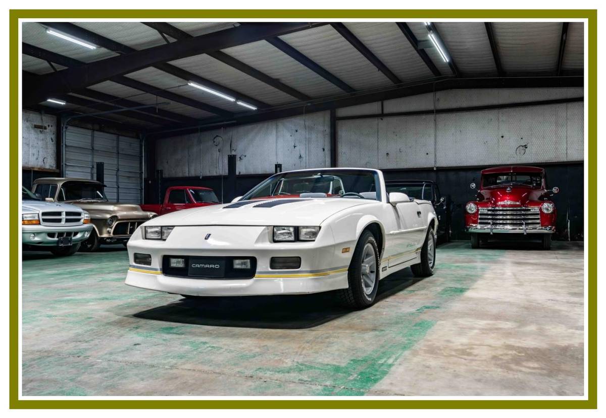 Chevrolet-camaro-iroc-convertibl-1988-white-14