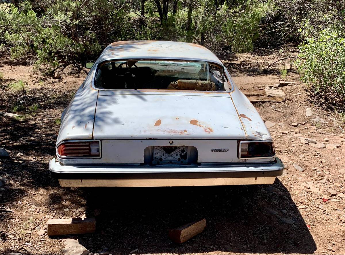 Chevrolet-camaro-lt-1974-silver-2