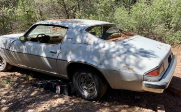 Chevrolet-camaro-lt-1974-silver-3