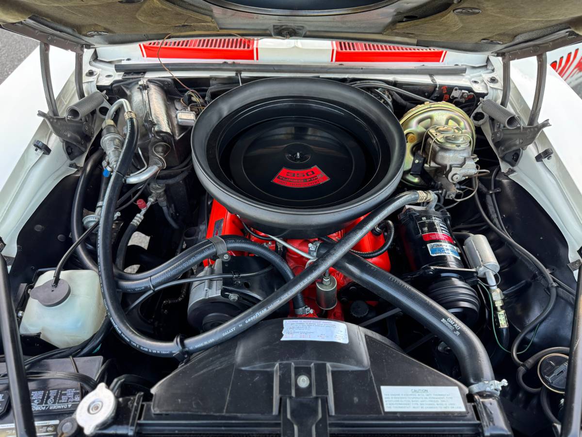Chevrolet-camaro-pace-car-1969-white-10