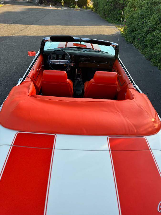 Chevrolet-camaro-pace-car-1969-white-18