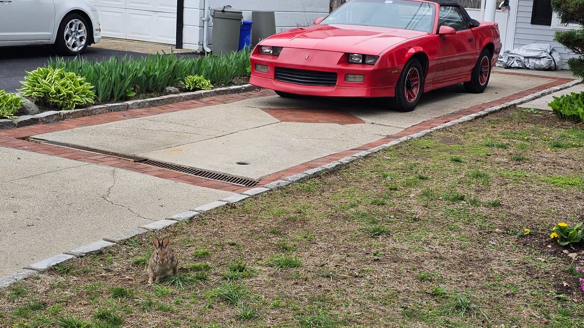 Chevrolet-camaro-rs-convertible-1989-red