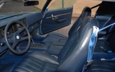 Chevrolet-camaro-sport-coupe-1981-blue-12