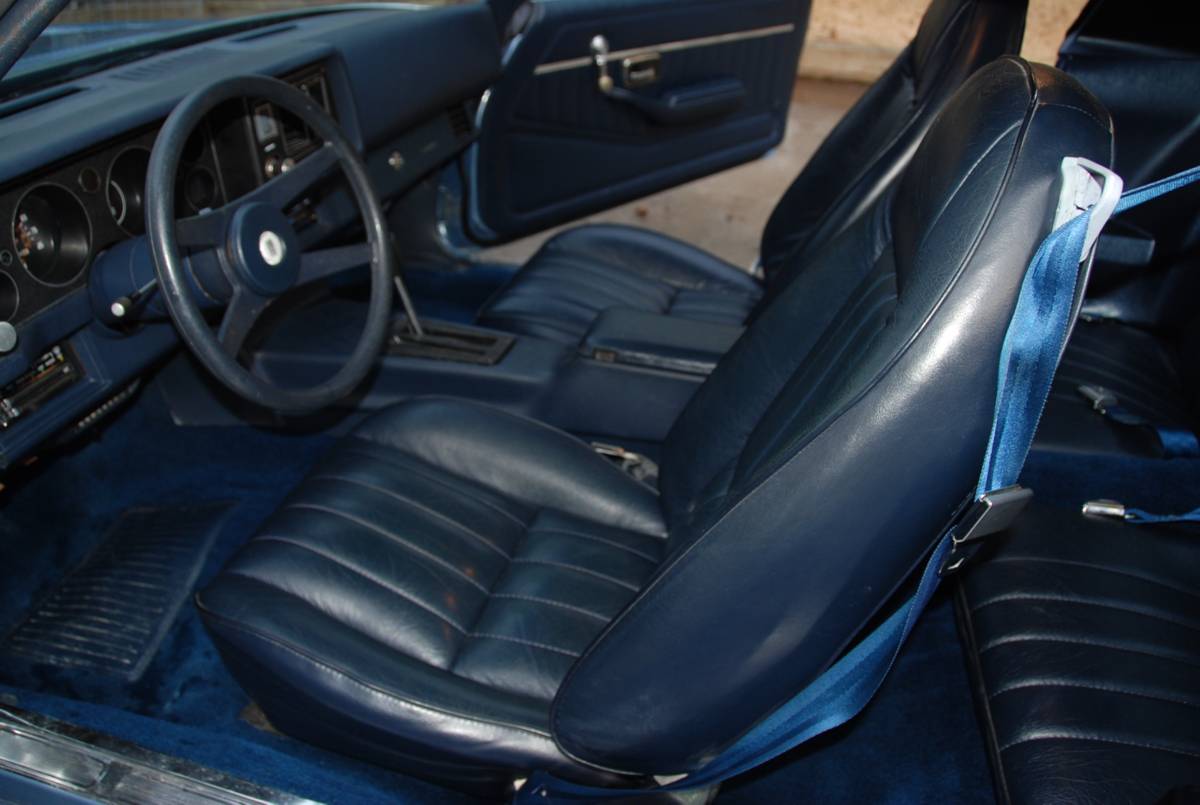 Chevrolet-camaro-sport-coupe-1981-blue-16