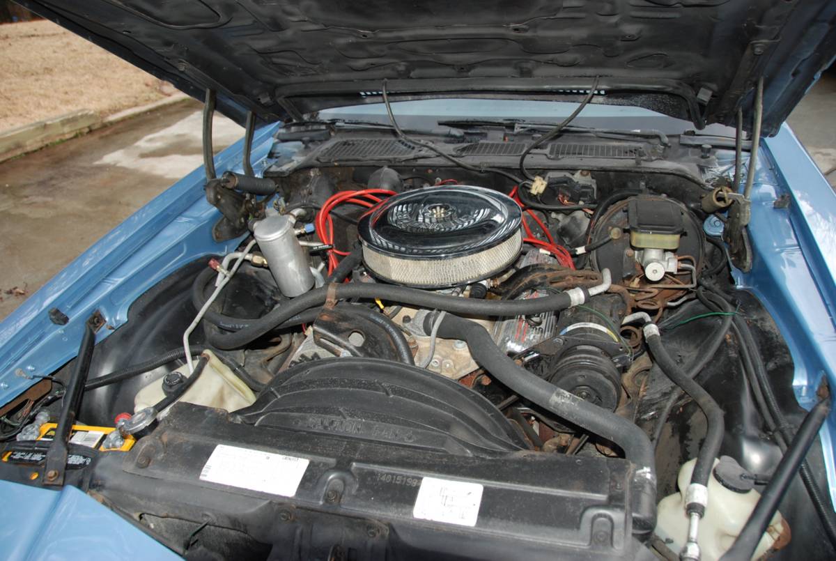 Chevrolet-camaro-sport-coupe-1981-blue-17