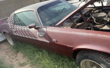 Chevrolet-camaro-z28-1974-brown-2