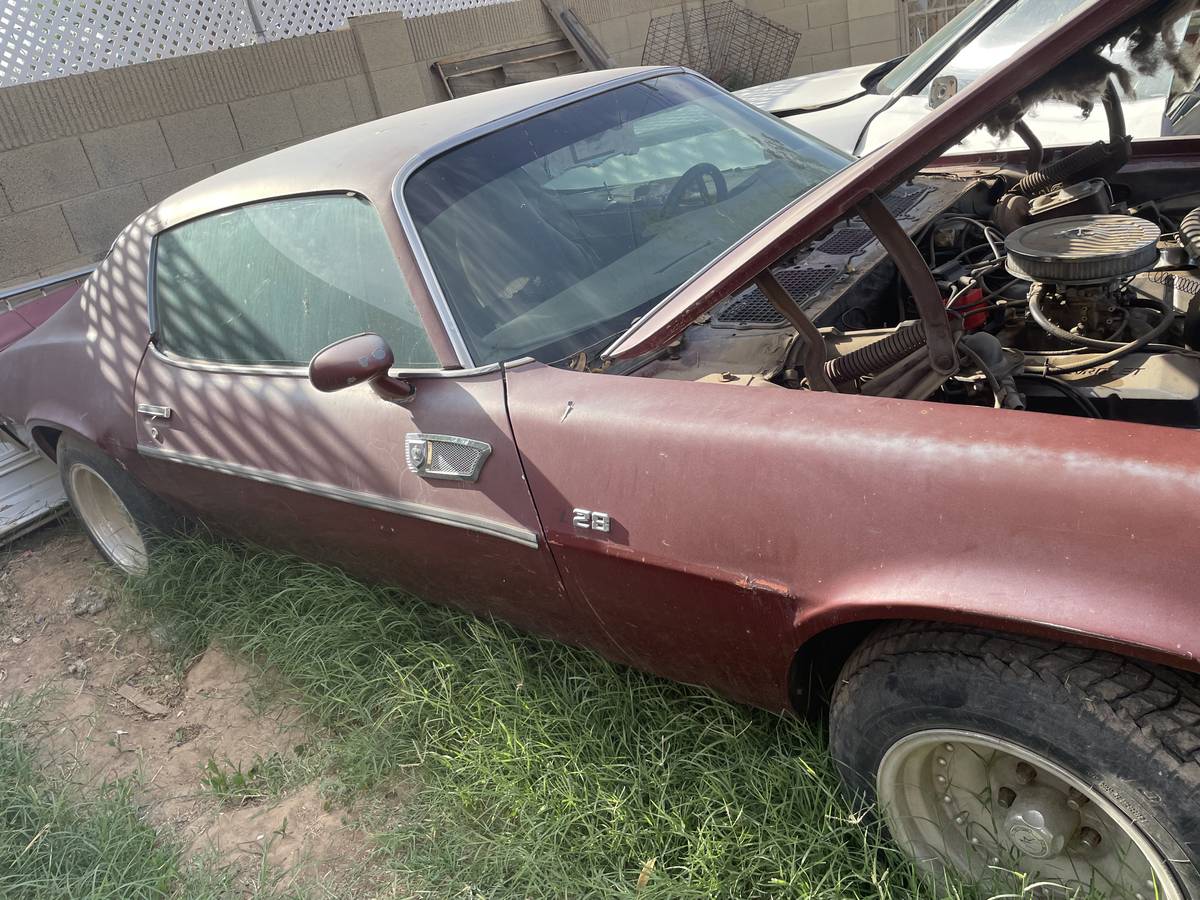 Chevrolet-camaro-z28-1974-brown-2