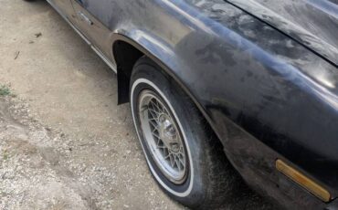 Chevrolet-camero-1977-1