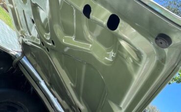 Chevrolet-caprice-1969-green-18