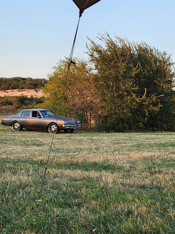 Chevrolet-caprice-1985-grey-7