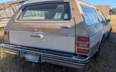 Chevrolet-caprice-classic-1985-brown-1