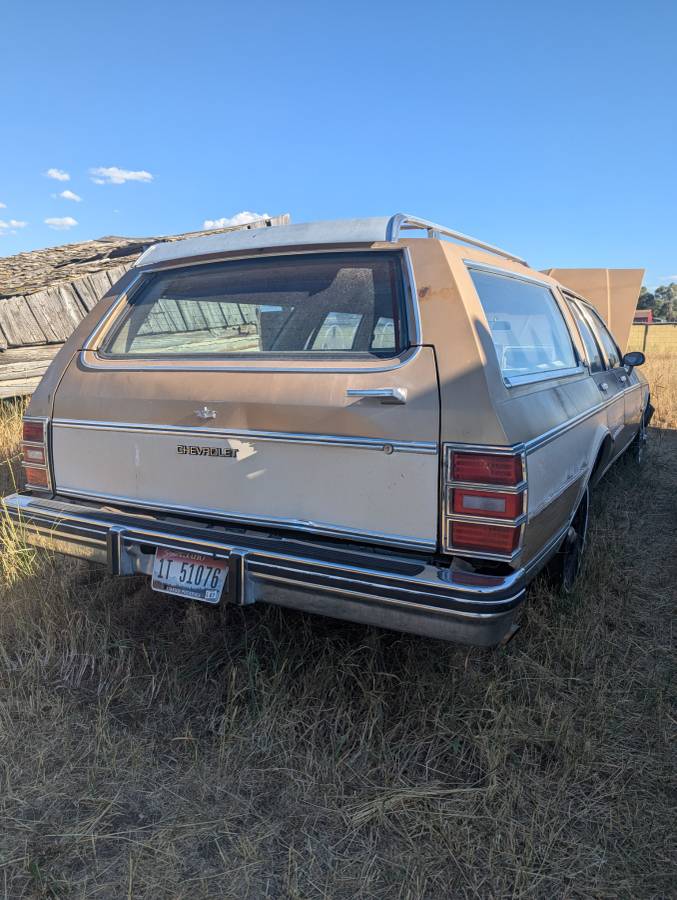 Chevrolet-caprice-classic-1985-brown-1