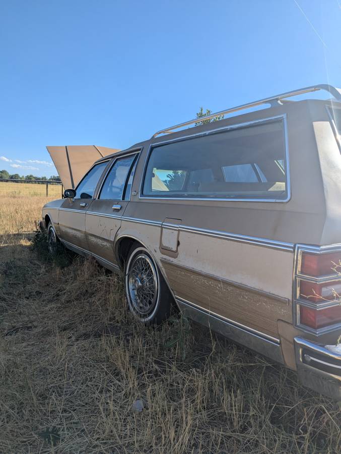 Chevrolet-caprice-classic-1985-brown-2