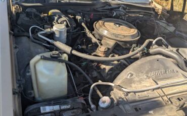 Chevrolet-caprice-classic-1985-brown-3