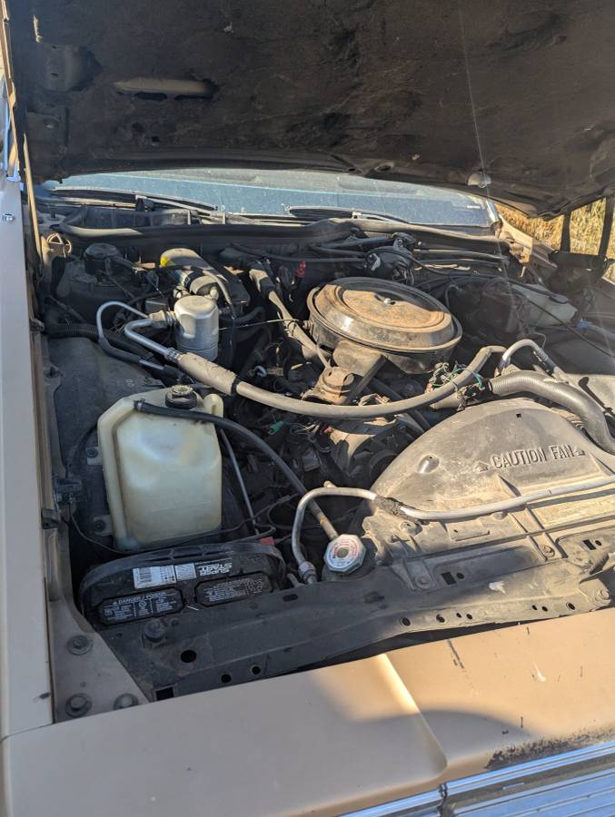 Chevrolet-caprice-classic-1985-brown-3