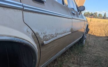 Chevrolet-caprice-classic-1985-brown-6