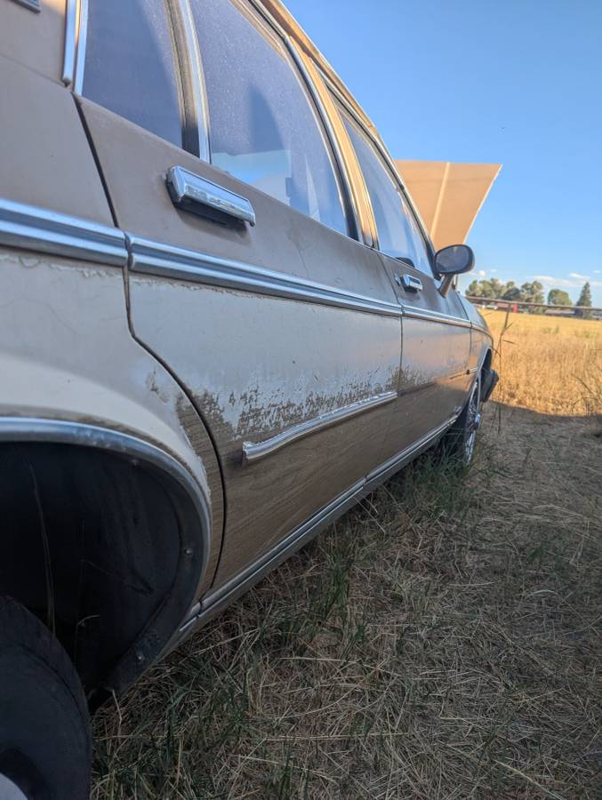 Chevrolet-caprice-classic-1985-brown-6