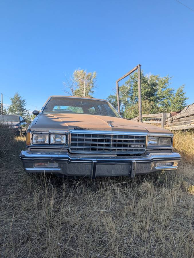 Chevrolet-caprice-classic-1985-brown