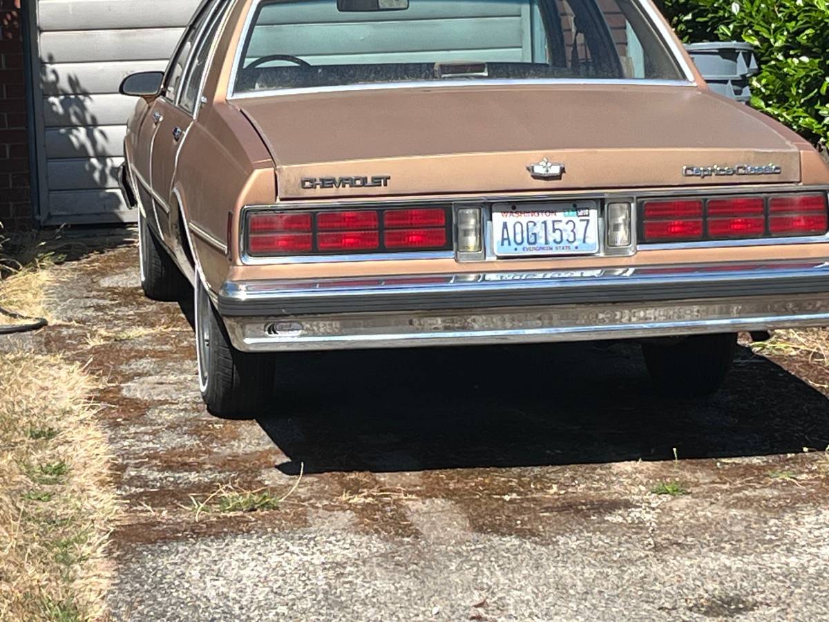 Chevrolet-caprice-classic-1988-brown-3