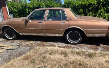 Chevrolet-caprice-classic-1988-brown-4