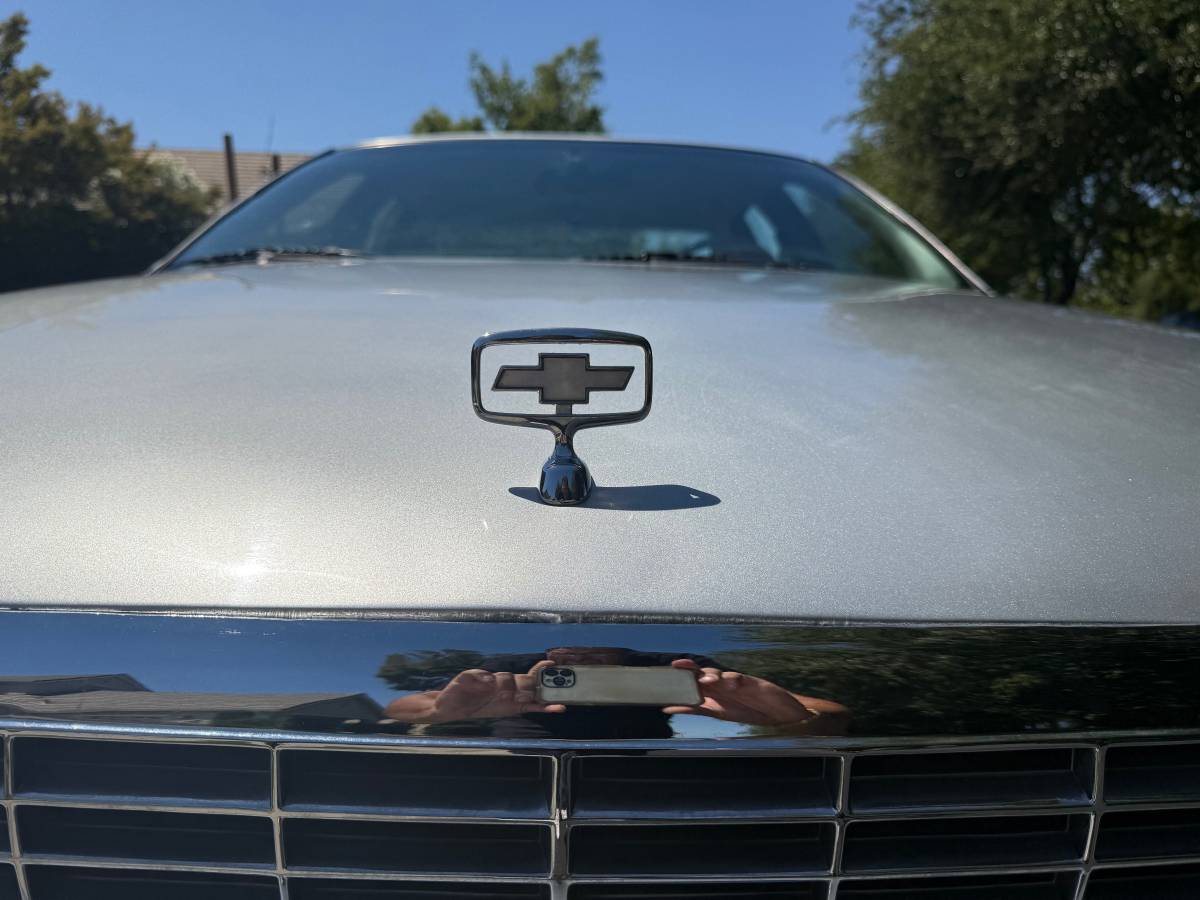 Chevrolet-caprice-classic-1991-silver-19