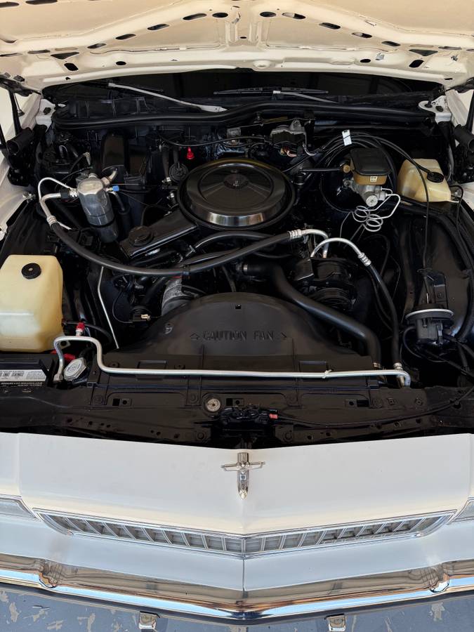 Chevrolet-caprice-classic-brougham-f41-1987-white-20