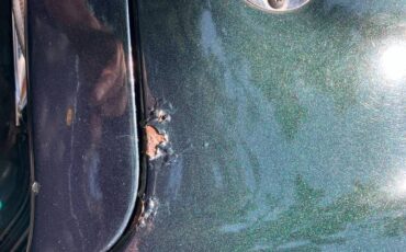 Chevrolet-chevelle-1972-green-16