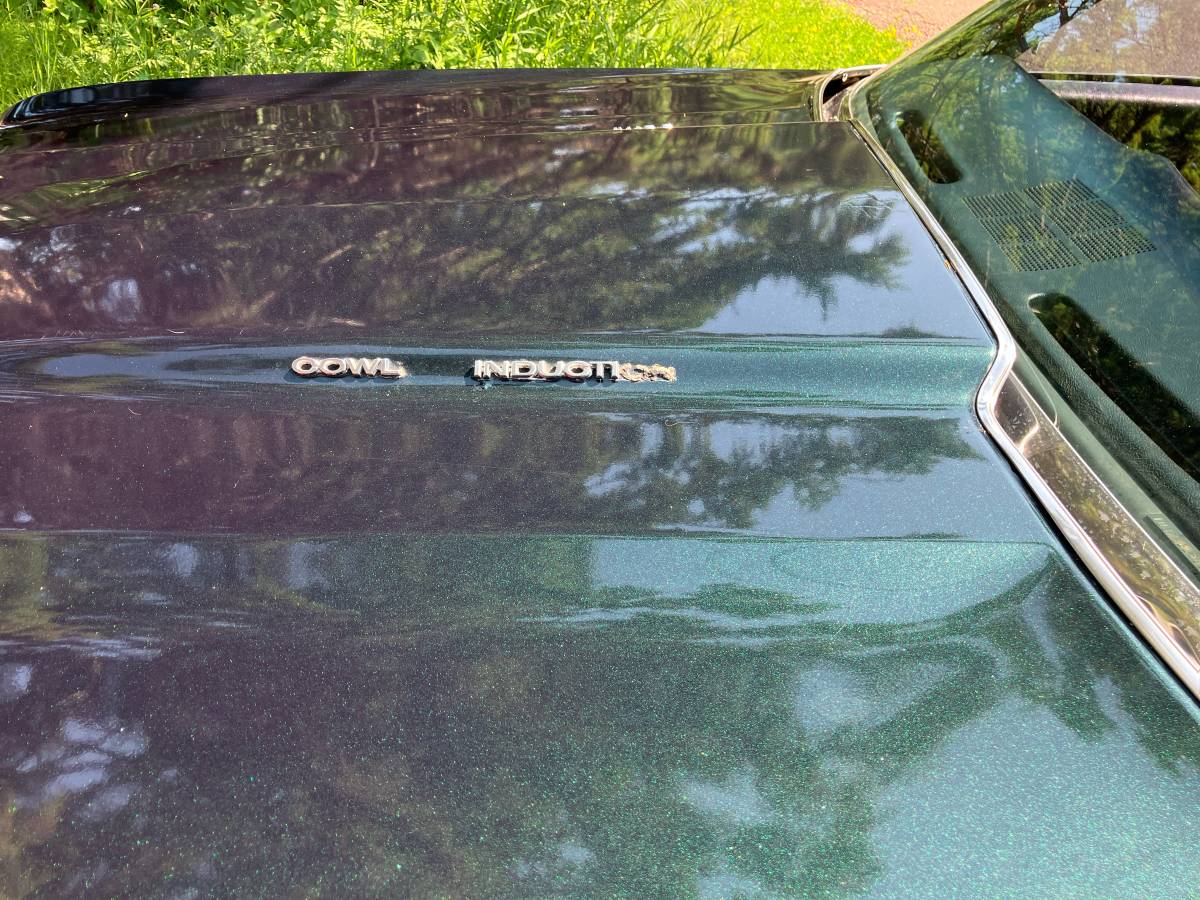 Chevrolet-chevelle-1972-green-18