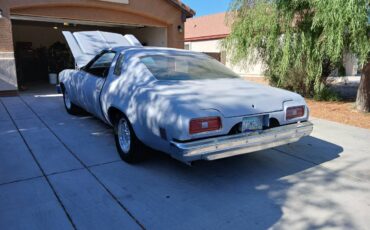 Chevrolet-chevelle-1974-grey-4