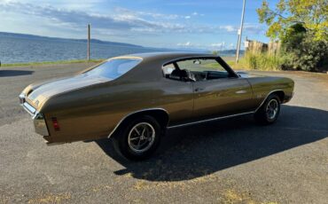 Chevrolet-chevelle-ls5-coupe-1970-custom-10