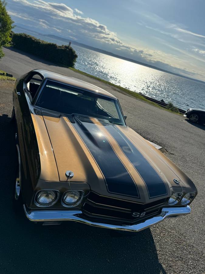 Chevrolet-chevelle-ls5-coupe-1970-custom-11