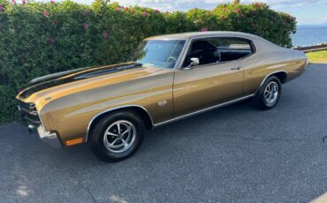 Chevrolet-chevelle-ls5-coupe-1970-custom-6