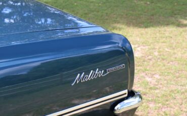 Chevrolet-chevelle-malibu-1965-green-10