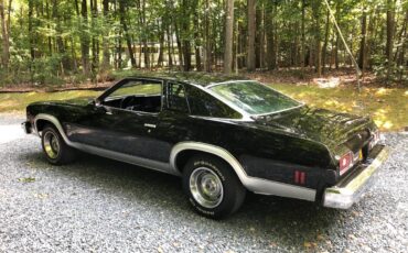 Chevrolet-chevelle-malibu-1974-black-7
