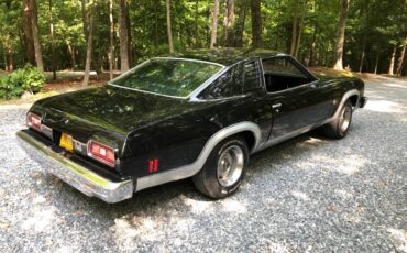 Chevrolet-chevelle-malibu-1974-black-9