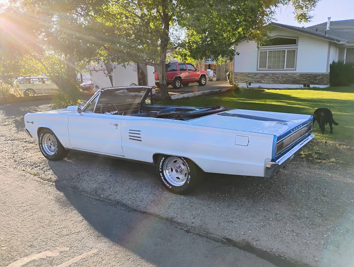 Chevrolet-chevelle-ss-1969-15