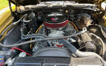 Chevrolet-chevelle-ss-1970-custom-6