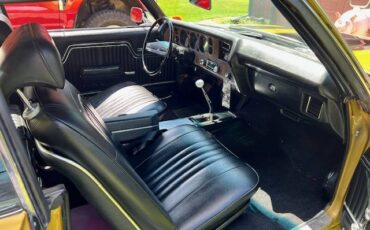 Chevrolet-chevelle-ss-1970-custom-7