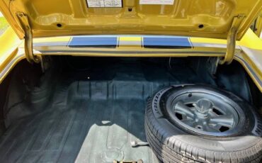 Chevrolet-chevelle-ss-1970-custom-8