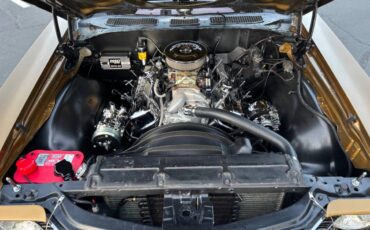 Chevrolet-chevelle-ss-1972-9