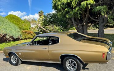 Chevrolet-chevelle-ss-tribute-1970-custom-12