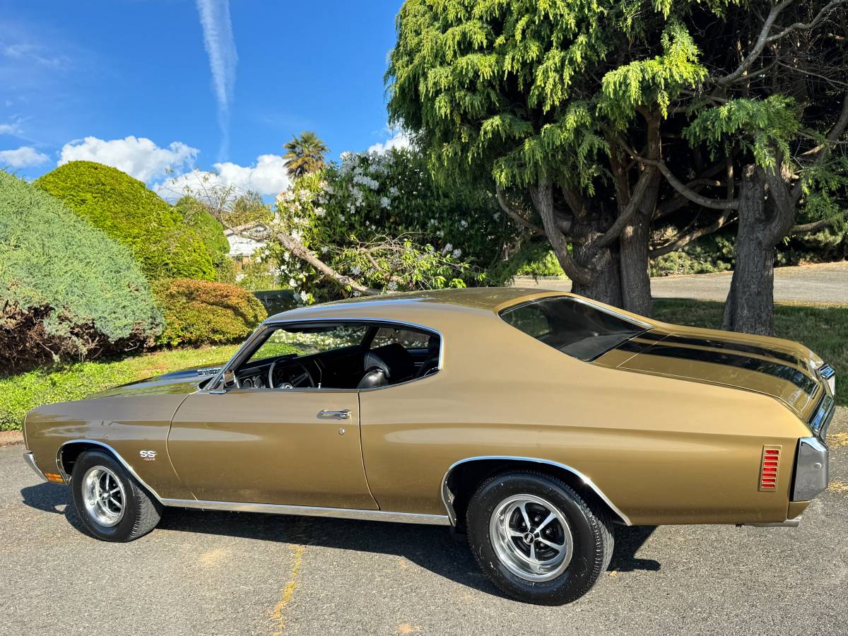 Chevrolet-chevelle-ss-tribute-1970-custom-12