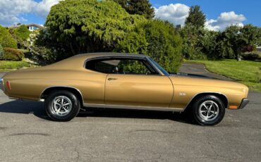 Chevrolet-chevelle-ss-tribute-1970-custom-6