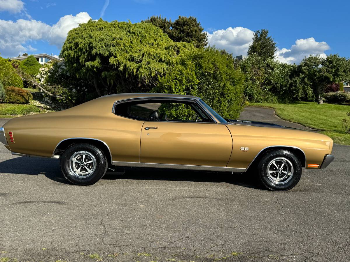 Chevrolet-chevelle-ss-tribute-1970-custom-6