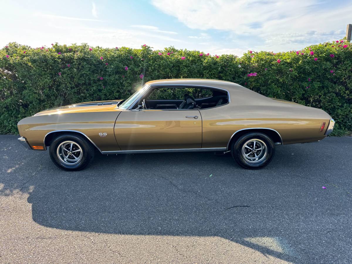 Chevrolet-chevelle-ss-tribute-1970-custom-7